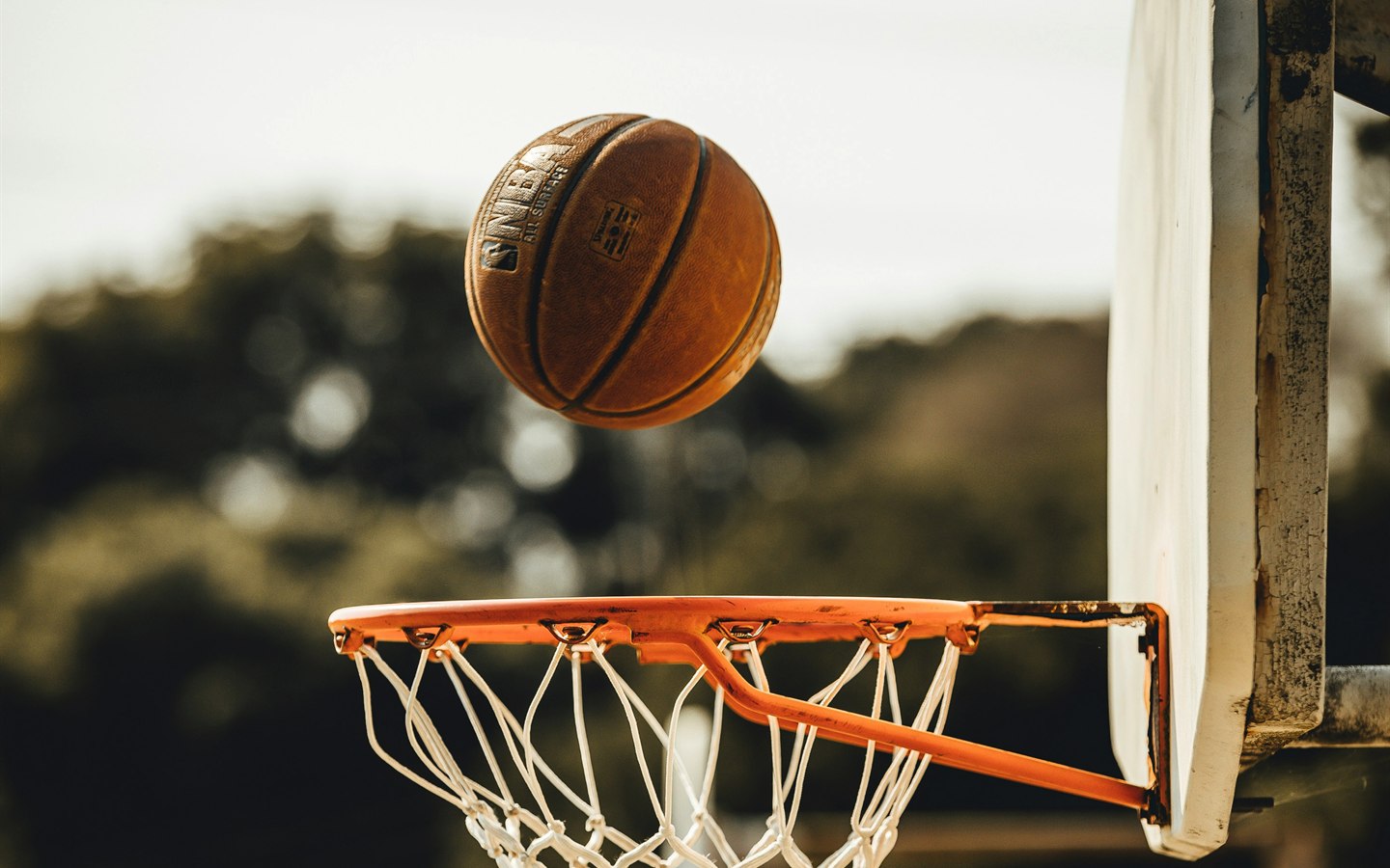 SAGA Sports — patrimoine sportif (3)
